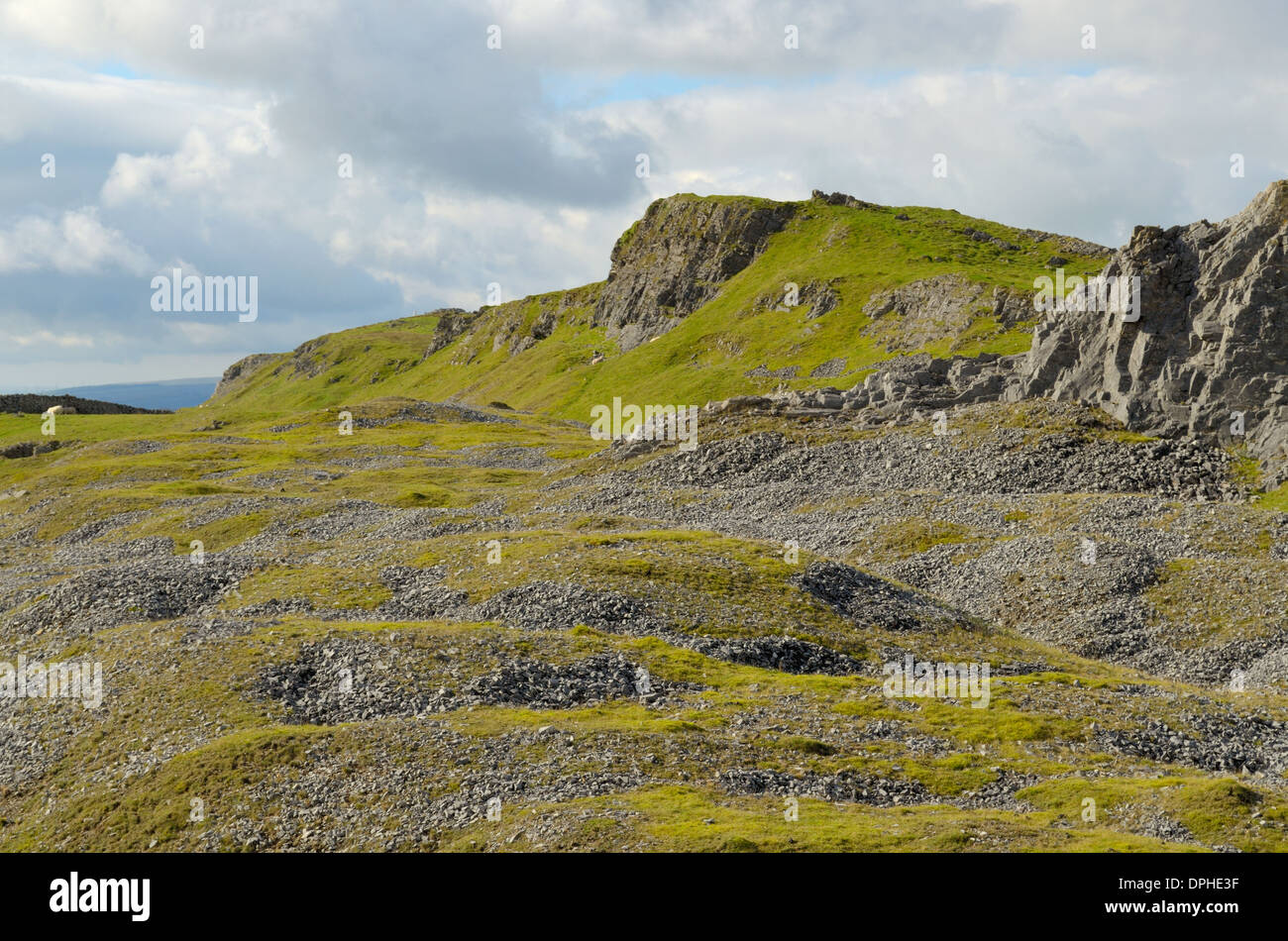 On Cribarth, Old Quarry with Millstone grit at the highest point and