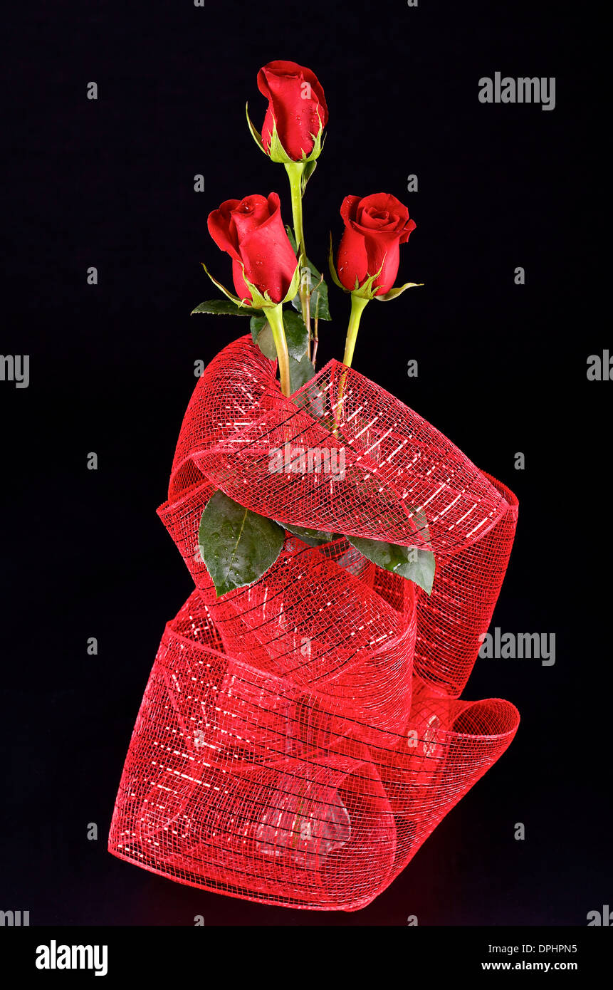 Three red roses on black background Stock Photo