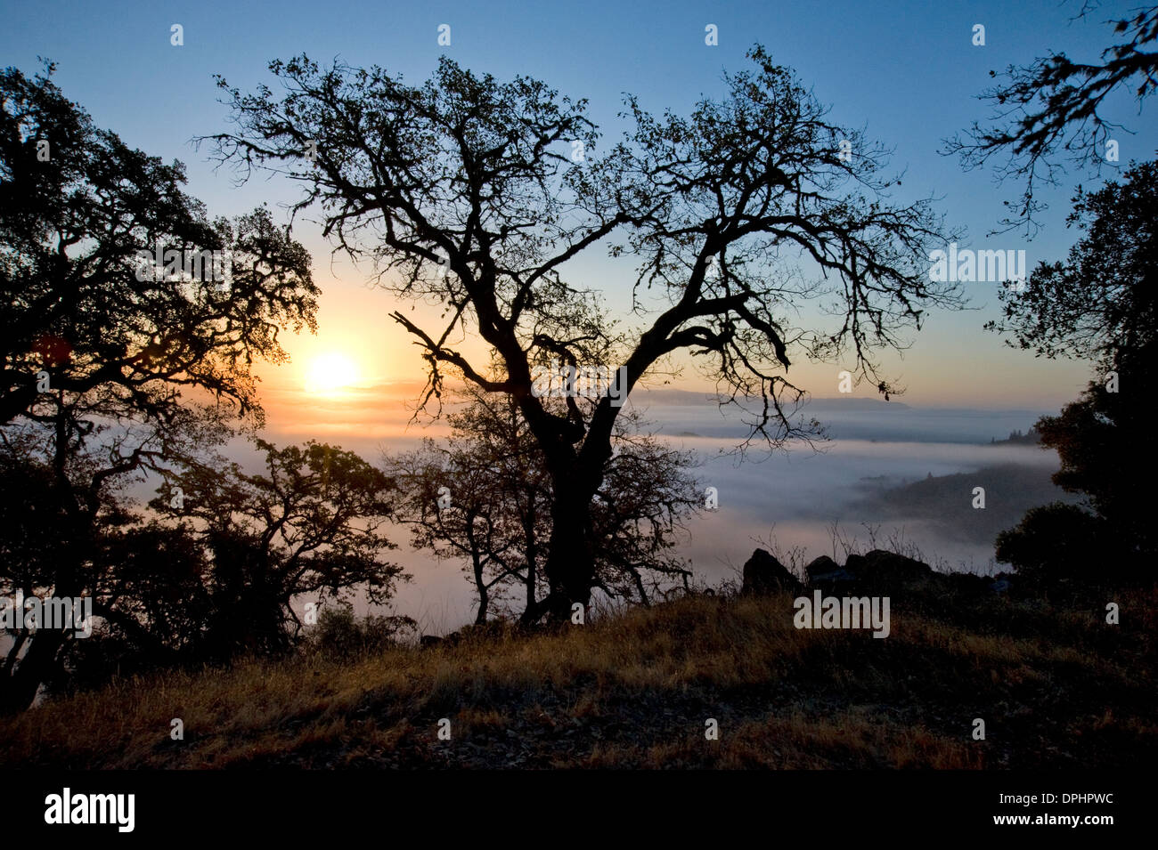 Dawn in Mendocino County Stock Photo
