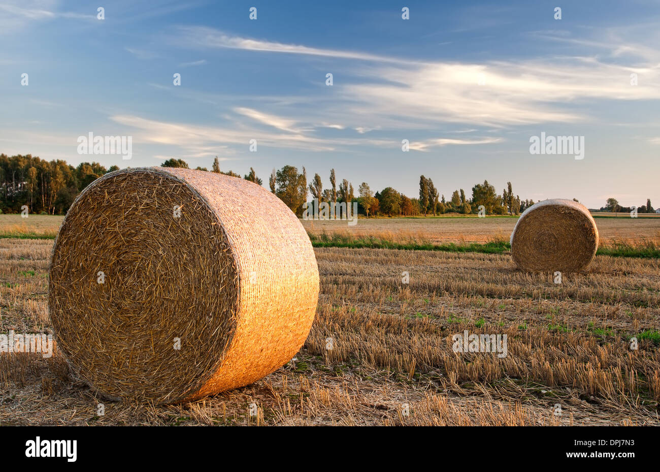 Bales of straw at sunset. summer landscape Stock Photo - Alamy