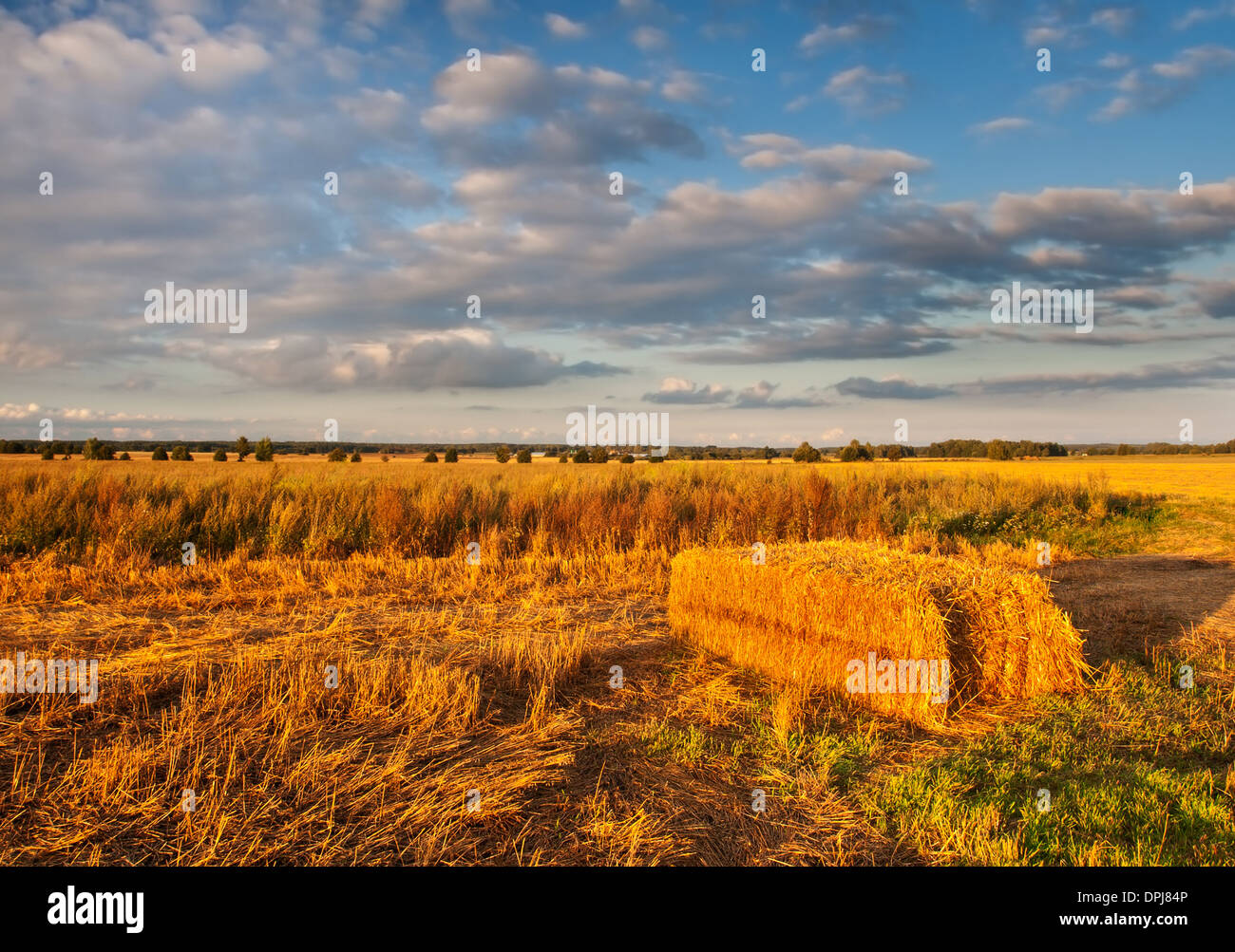 Bales of straw at sunset. summer landscape Stock Photo - Alamy