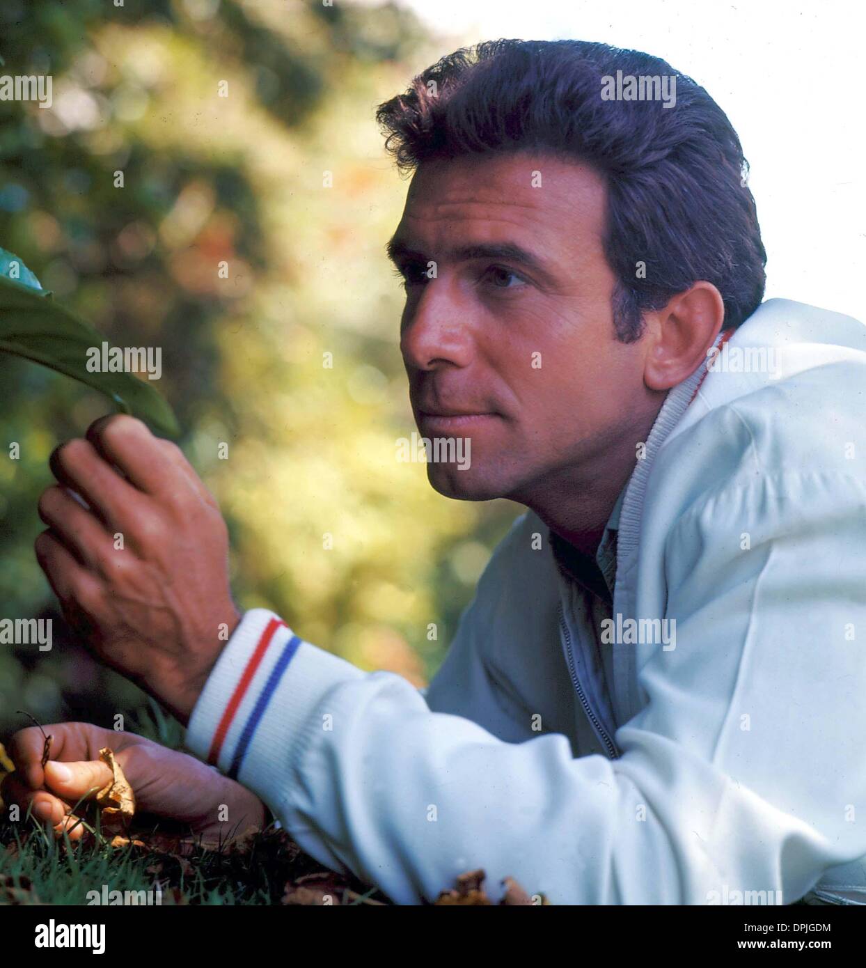 Angelo frontoni hires stock photography and images Alamy