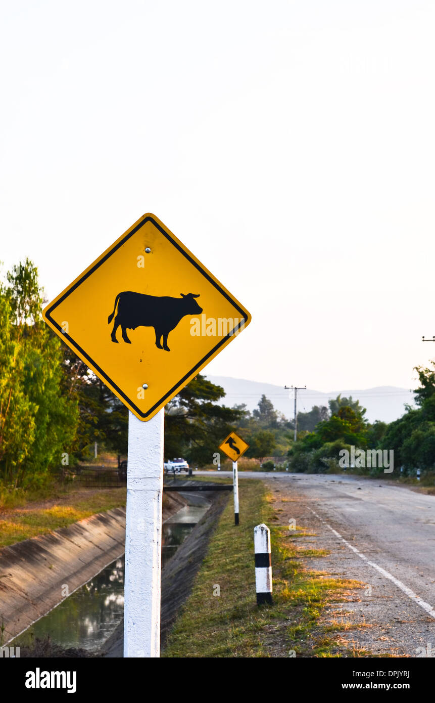 Cow warning sign on roadside Stock Photo - Alamy