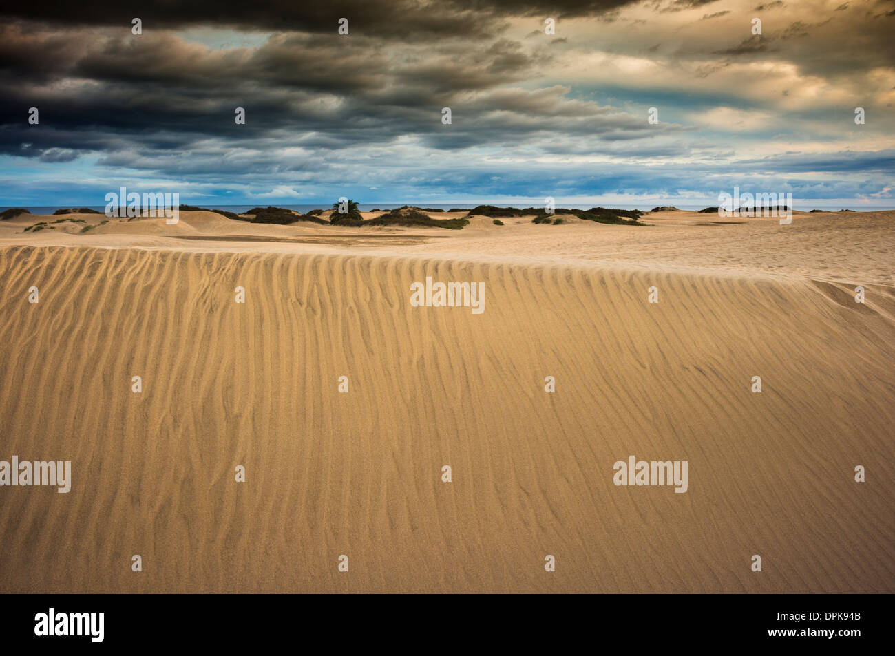 Sand dunes at Maspalomas, Gran Canaria, Canary Islands, Spain Stock Photo