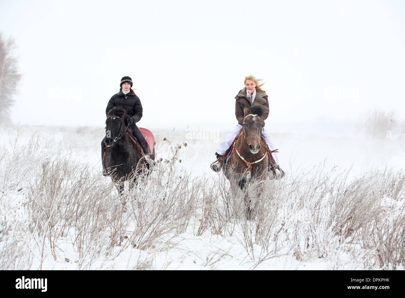 Two girls takes a walk on the horses in winter Stock Photo
