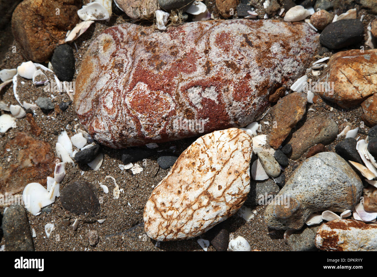 A myriad of contrasting colours amongst the stones on a New Zealand beach Stock Photo