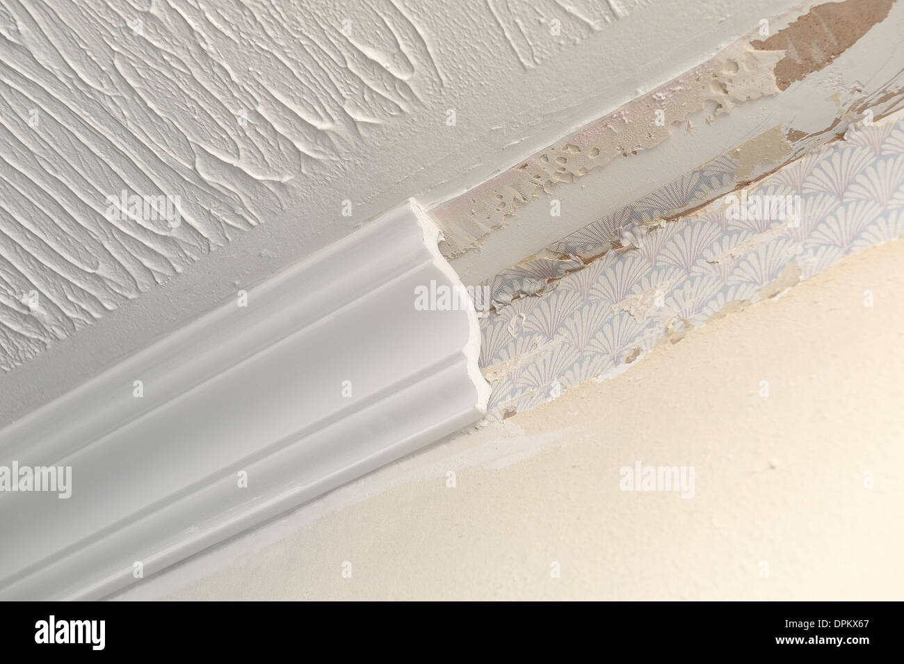 Ceiling Coving Stock Photos Ceiling Coving Stock Images