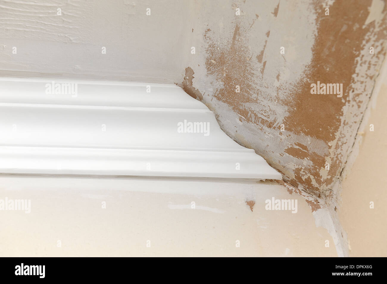 white coving attached to the ceiling corner Stock Photo