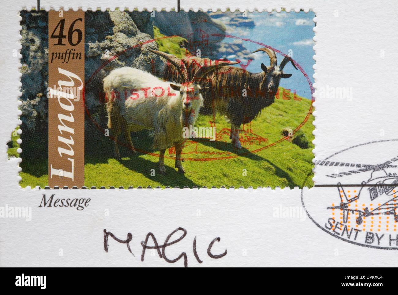 Soay sheep Lundy stamp stuck on back of postcard Stock Photo