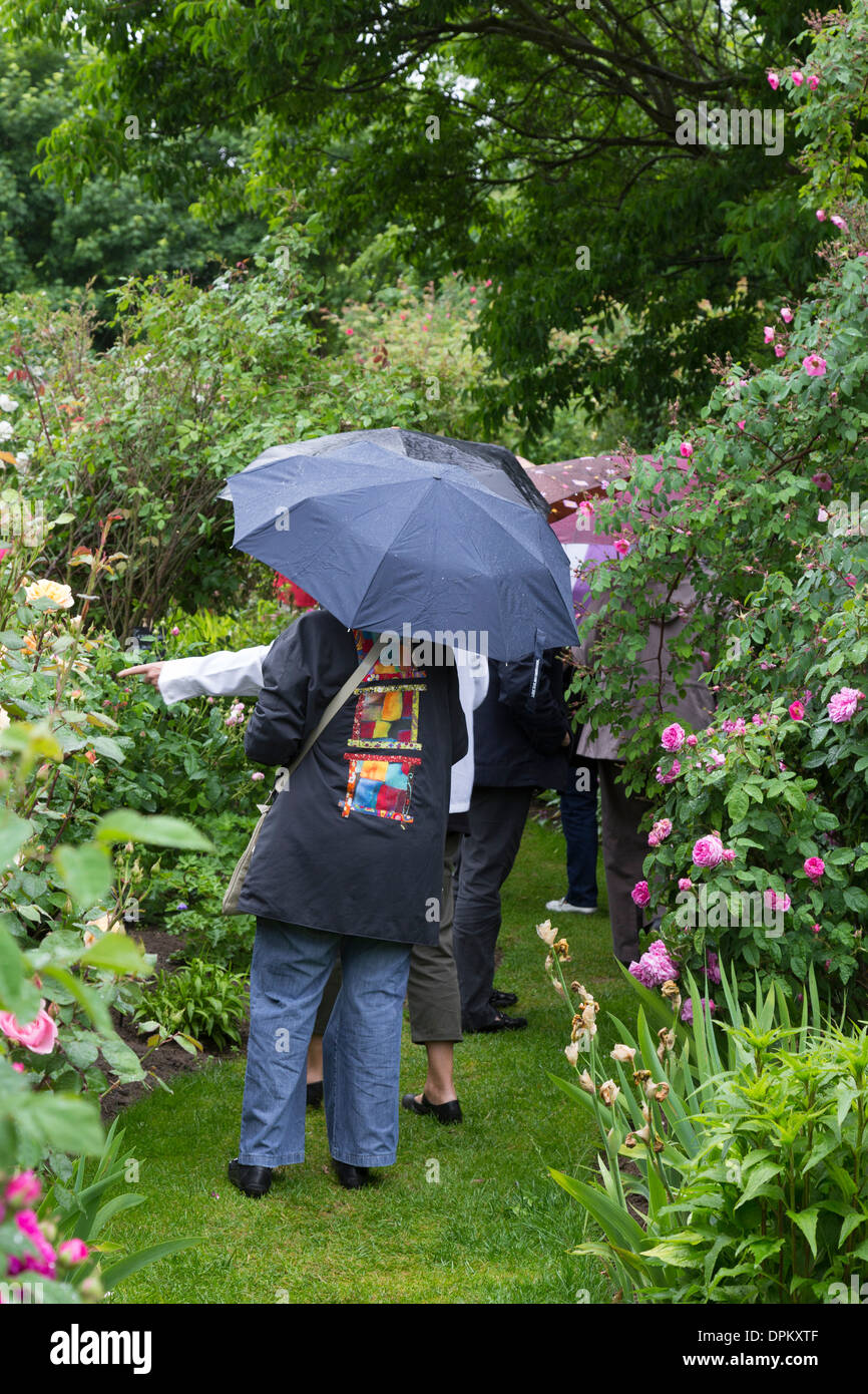 André Eve garden a rainy day, Pithiviers-Le-Vieil , France // Pithiviers-Le-Vieil , jardin d'André Eve un jour de pluie Stock Photo