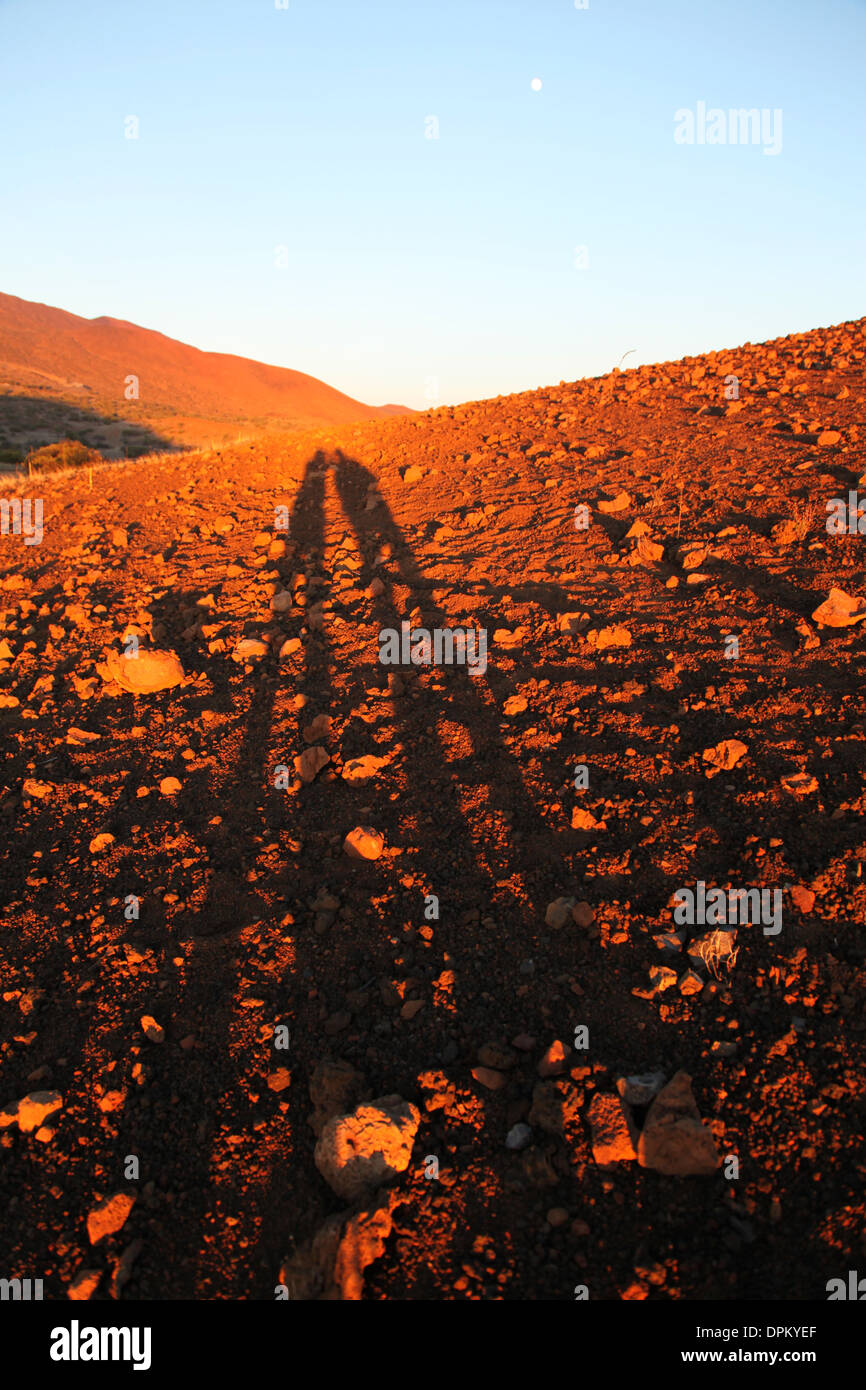 A couple of Human shadows cast by the setting sun on the slopes of Moana Kea,  Hawaii Stock Photo