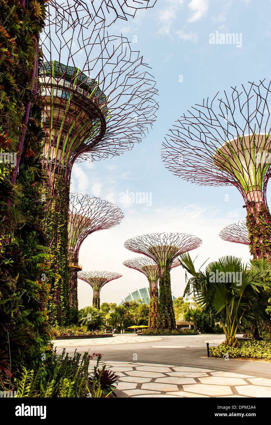 Solar Trees in the Gardens by the bay in Singapore. The Solar trees in the supertree grove were added in June, 2013 Stock Photo
