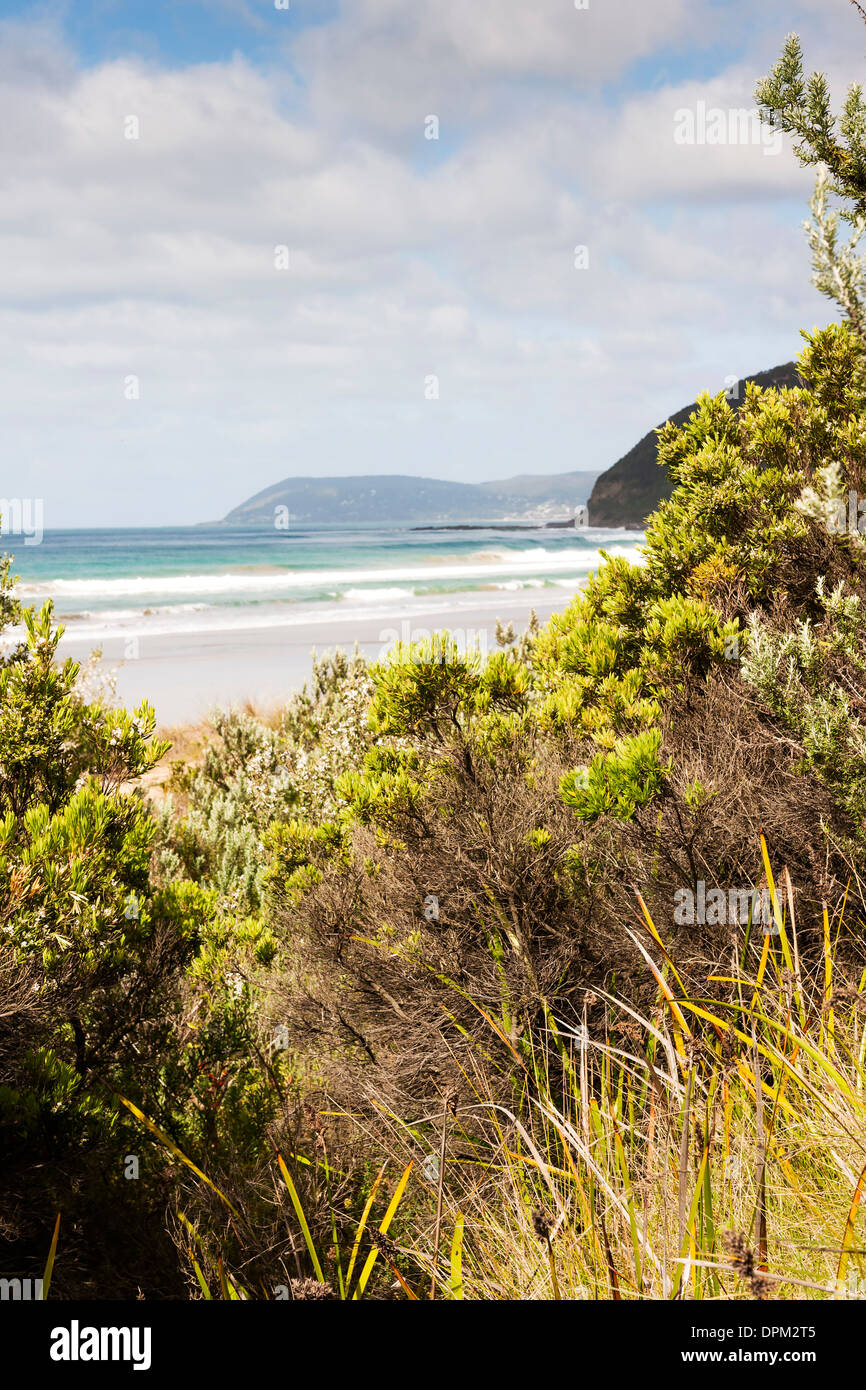 Melbourne beach australia hires stock photography and images Alamy