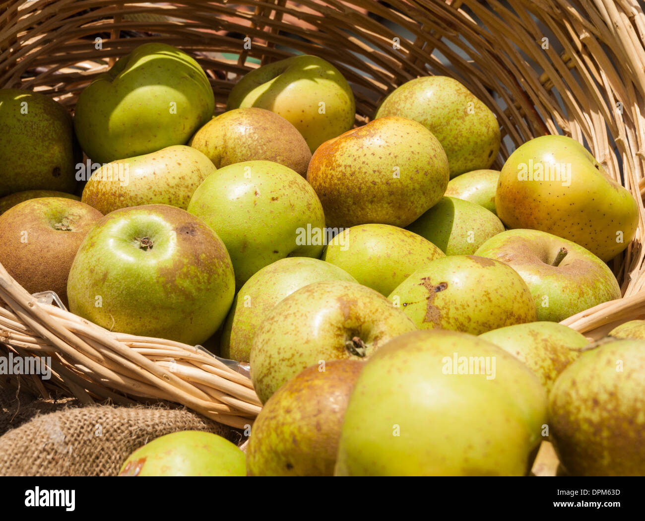 Basket of Apples Stock Photo