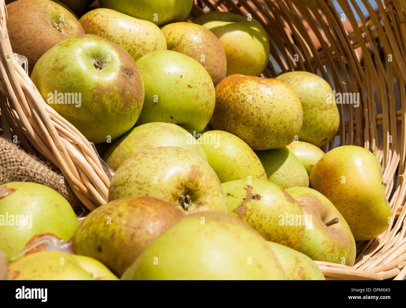 Basket of Apples Stock Photo