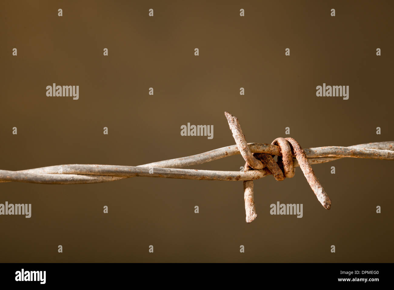 rusty barbed wire on the dark background Stock Photo