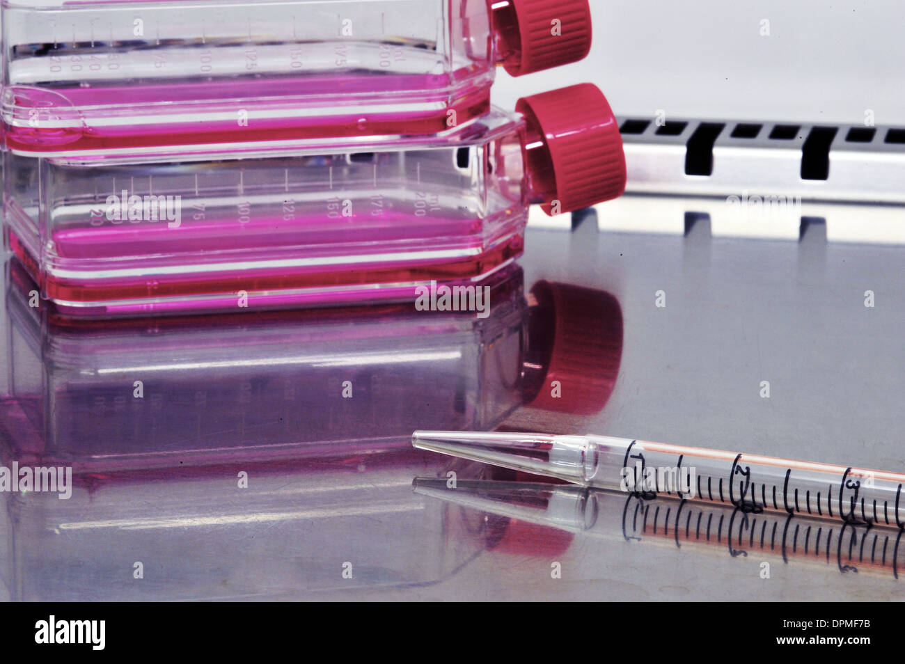 cell culture flask Stock Photo Alamy