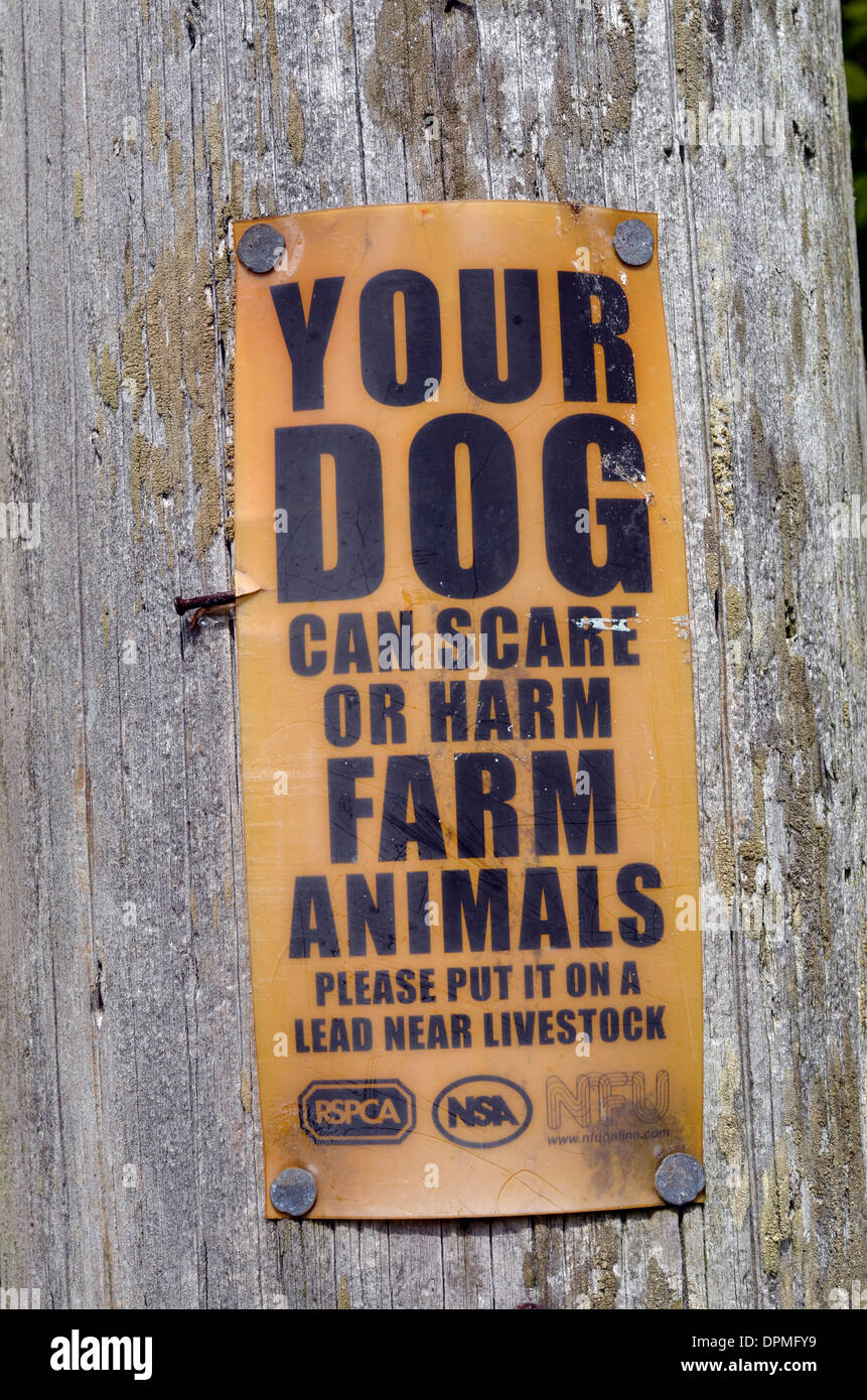 farm animal warning sign Stock Photo Alamy