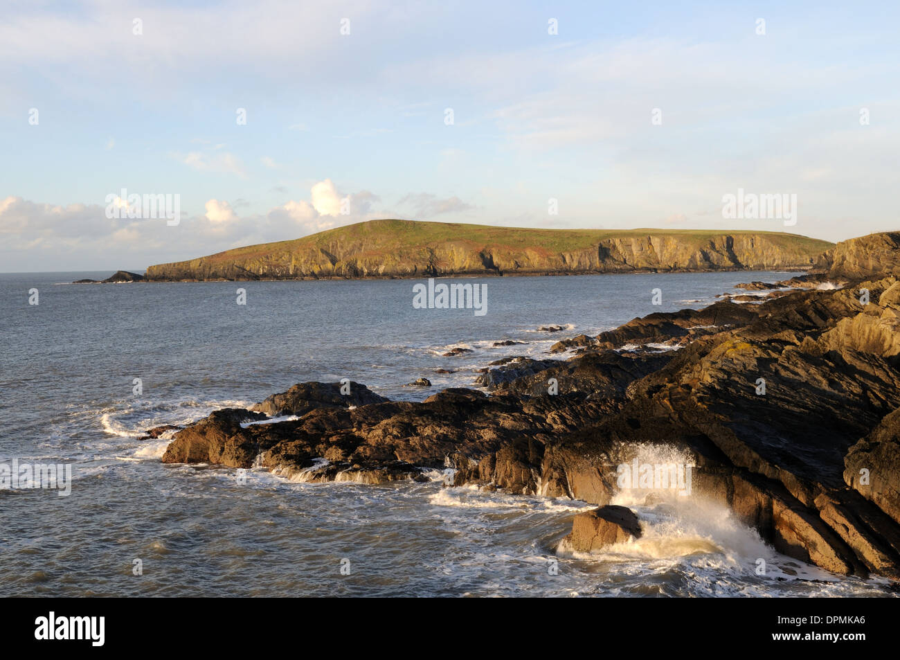 Cardigan Island from the Wales Coast Path Ceredigion Wales Cymru UK GB  Stock Photo - Alamy