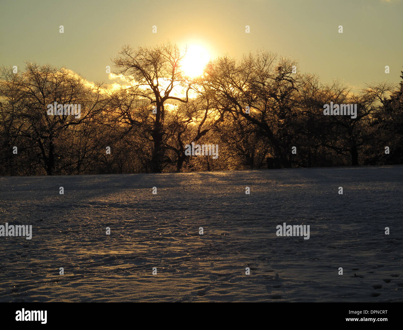 Winter in high park toronto hi-res stock photography and images - Alamy
