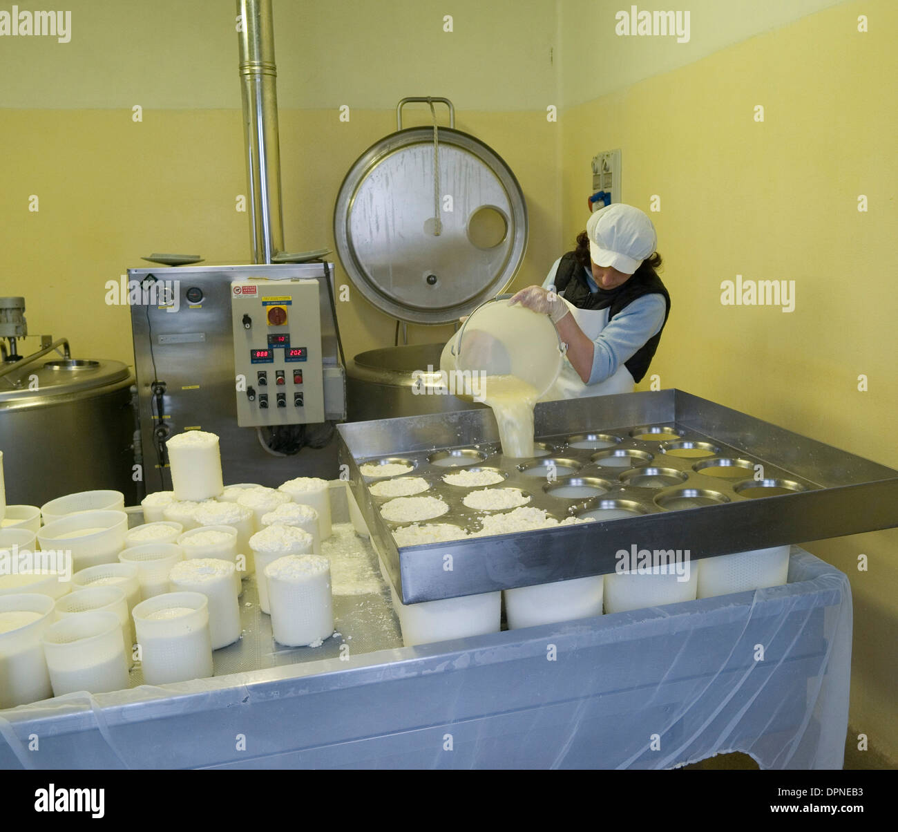 Organic ricotta cheese production, in Casalfiumanese, in the Santerno
