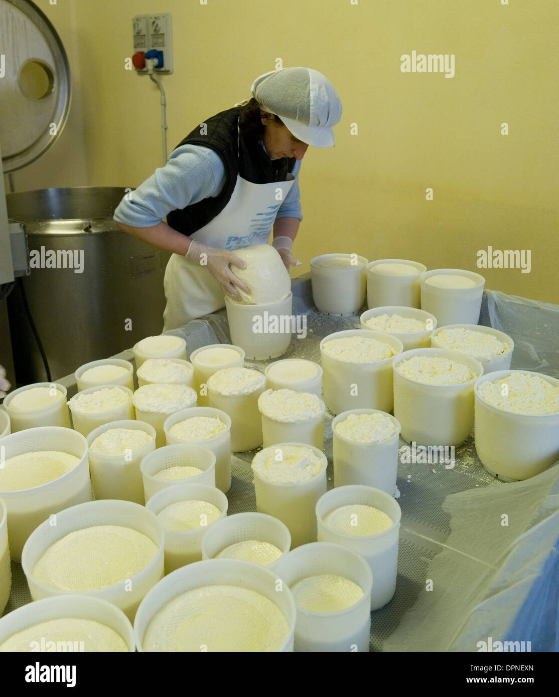 Organic ricotta cheese production, in Casalfiumanese, in the Santerno