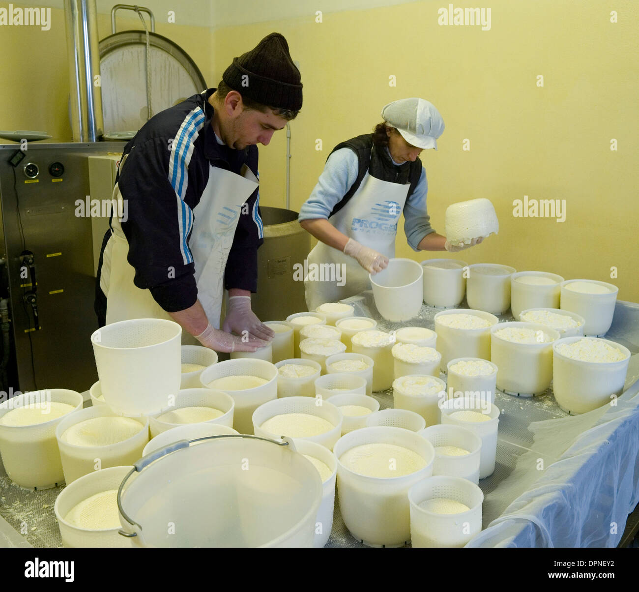 Organic ricotta cheese production, in Casalfiumanese, in the Santerno