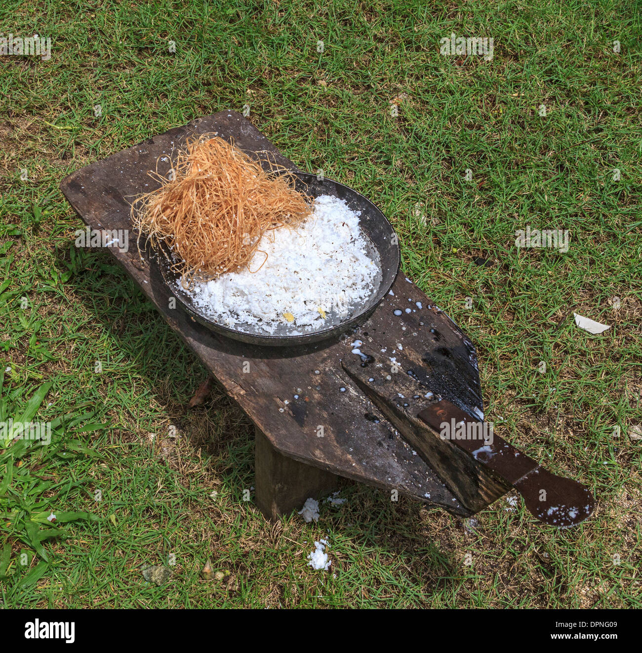 Freshly shredded coconut along with hibiscus tree fiber sitting on traditional tool used to shred coconut in Micronesia. Stock Photo