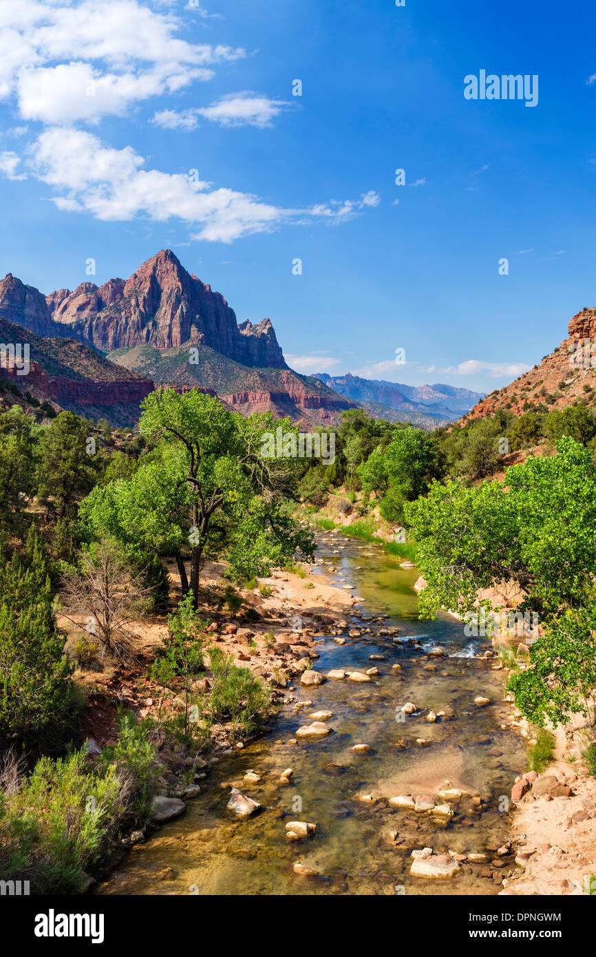 Zion national park hi-res stock photography and images - Alamy