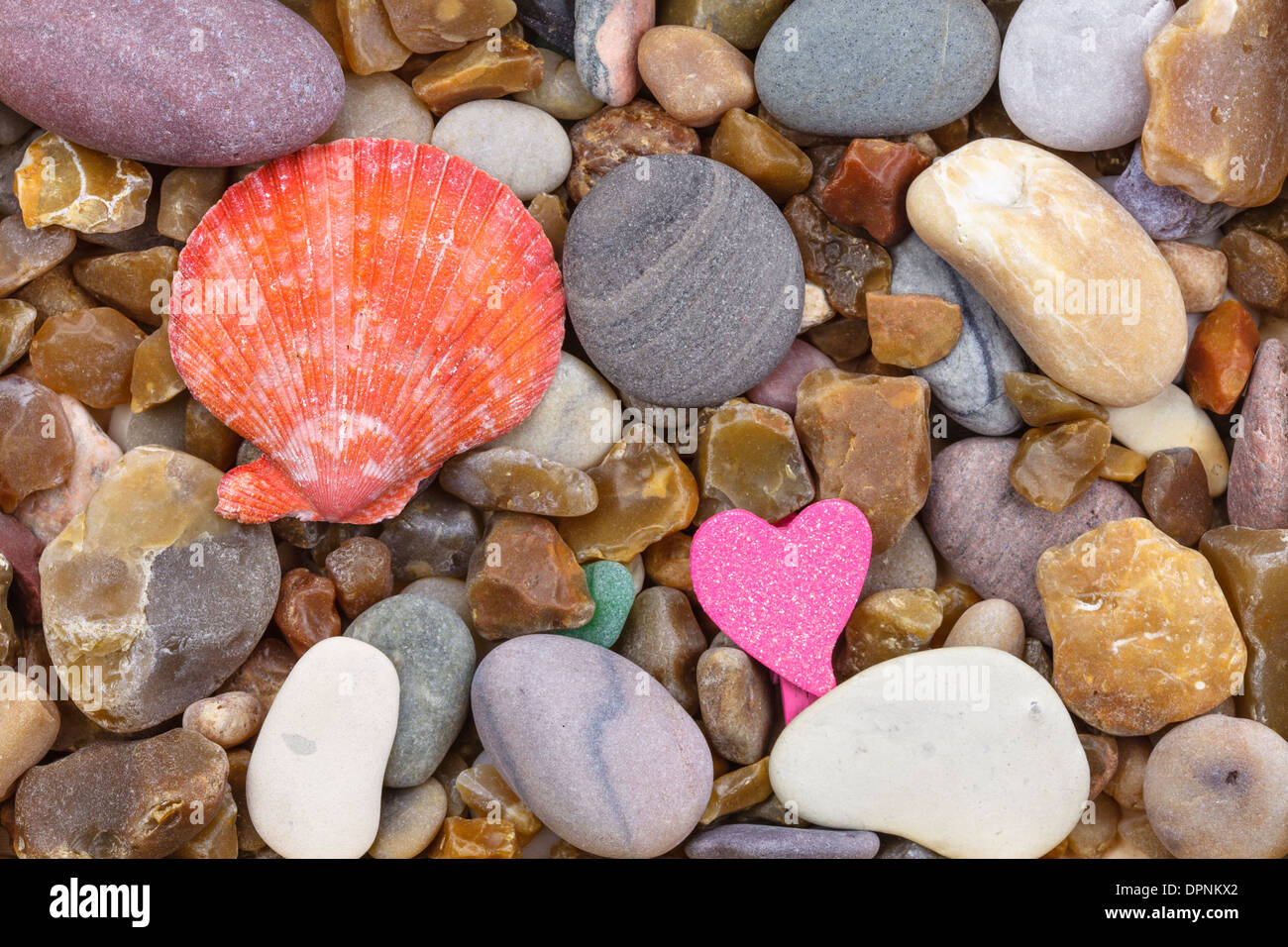 Scallop shell on a pebble, heart Stock Photo
