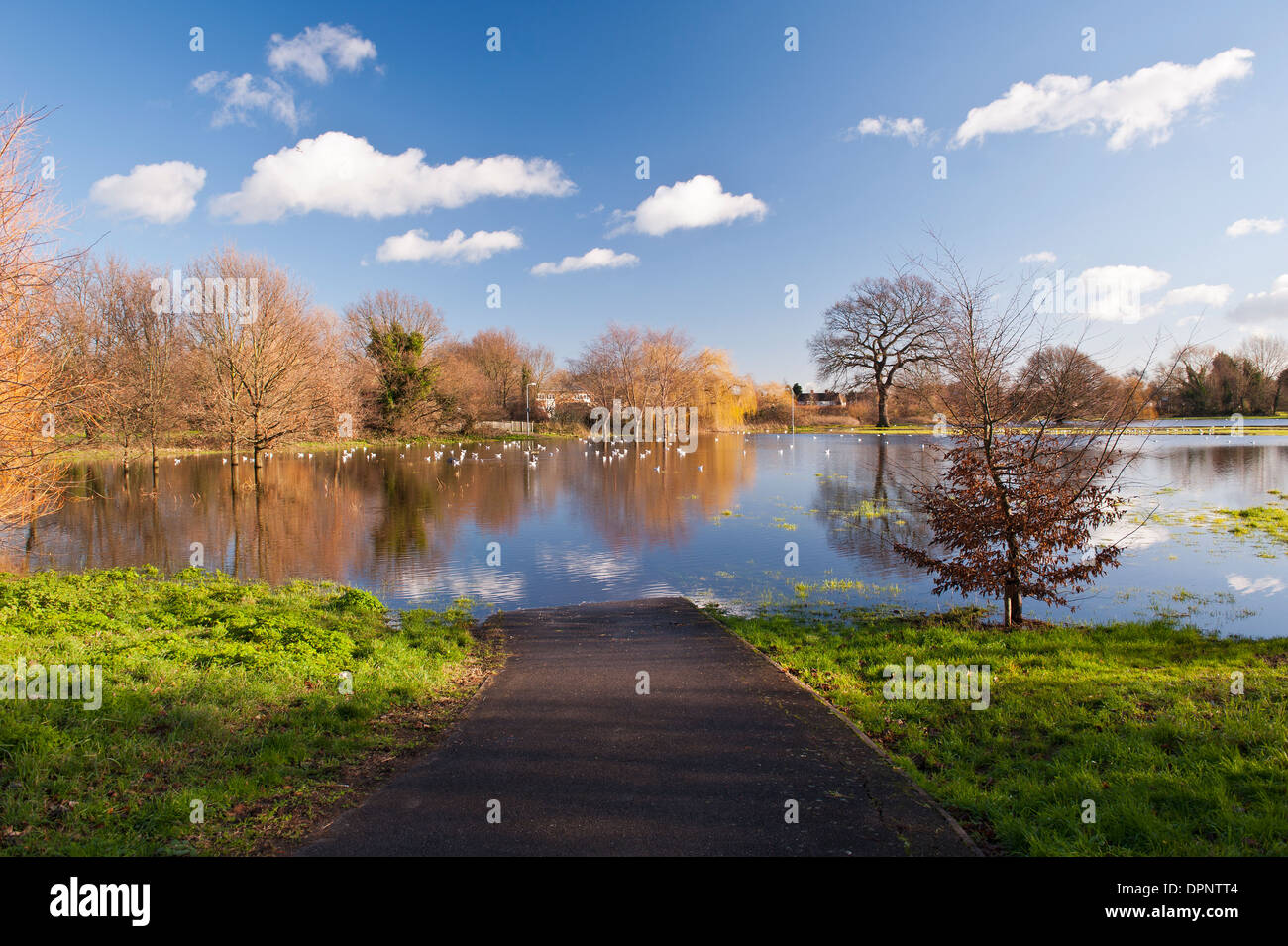 A Flooded Park off Eastworth Road Chertsey Surrey England UK Stock