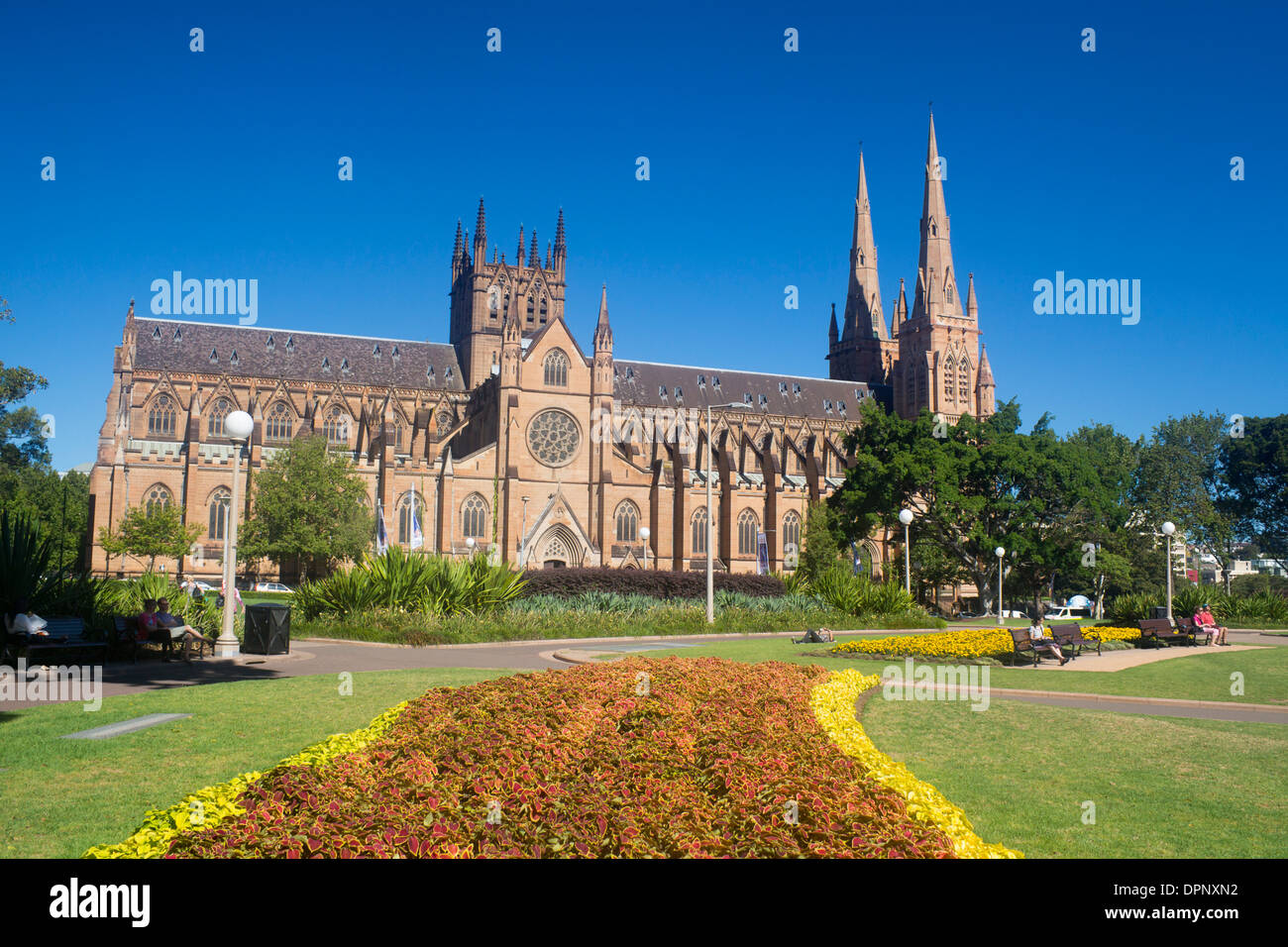 St Mary's Roman Catholic Cathedral from Hyde Park The Domain Sydney New South Wales NSW Australia Stock Photo