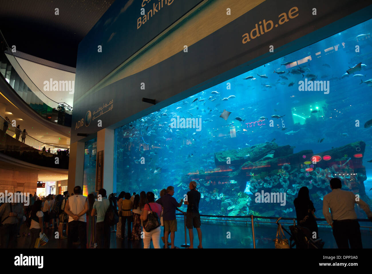 November 23, 2013 - Dubai, AUE: View to the Aquarium of Dubai Mall - world's largest indoor aquarium as of 2013. ** Editorial ** Stock Photo