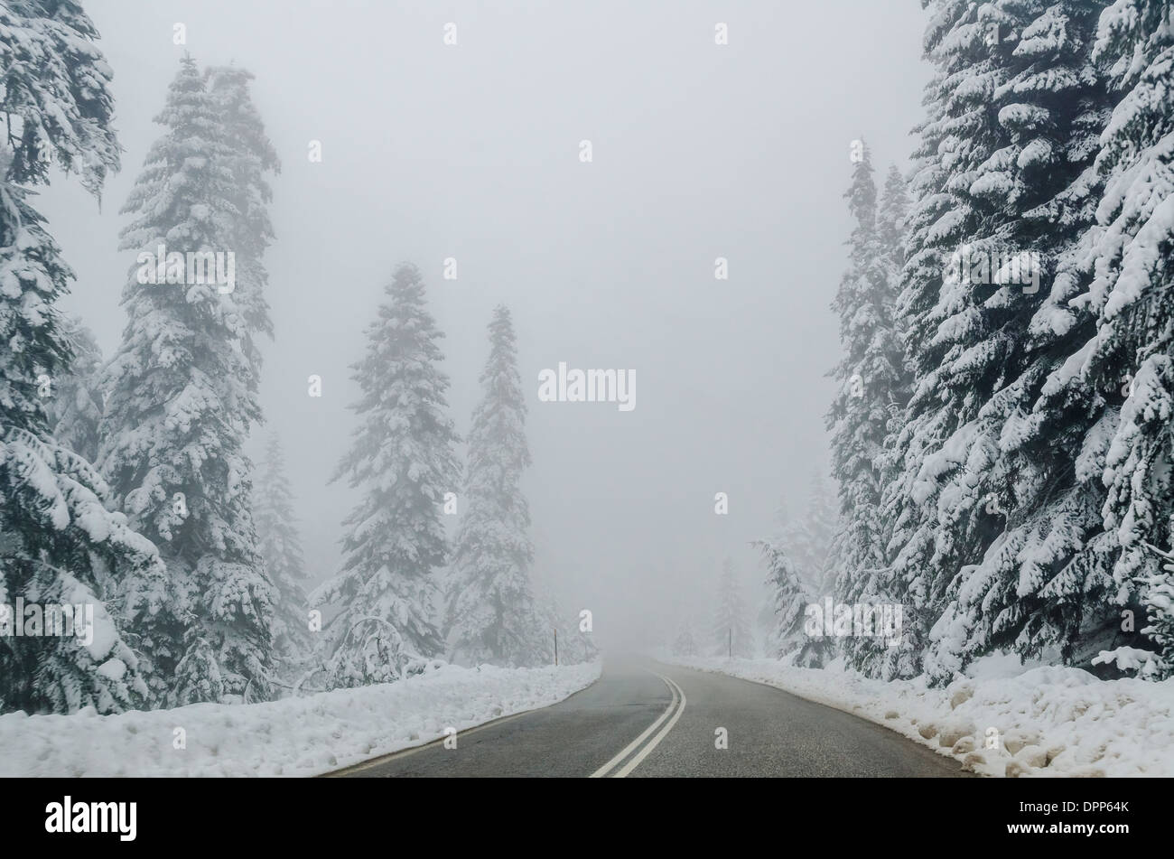 snowy Landscape Stock Photo