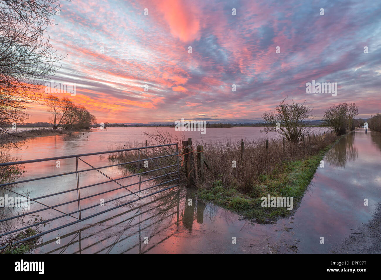 Sunrise over the flooded Somerset Levels just outside Glastonbury.  The still water reflects the colours in the sky. Stock Photo