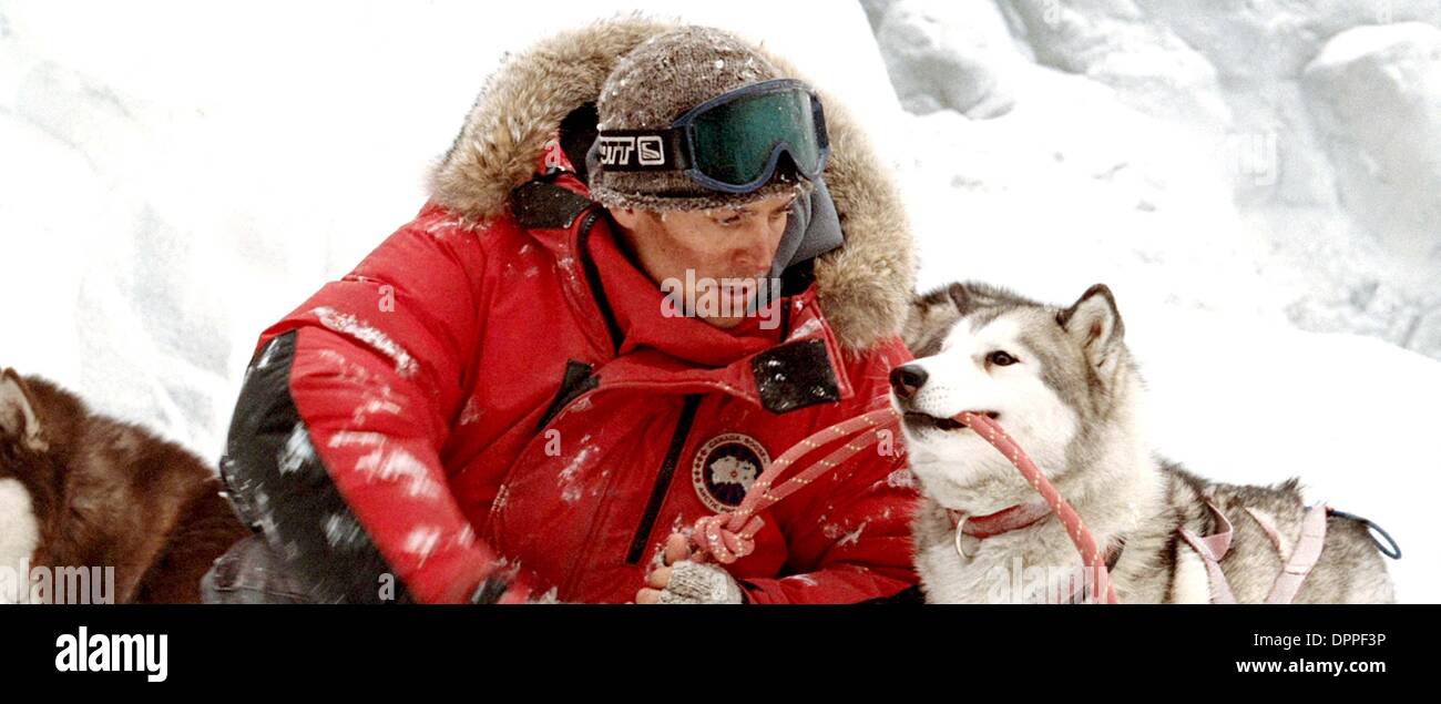 Maya Ackland Snow maya-ackland-snow