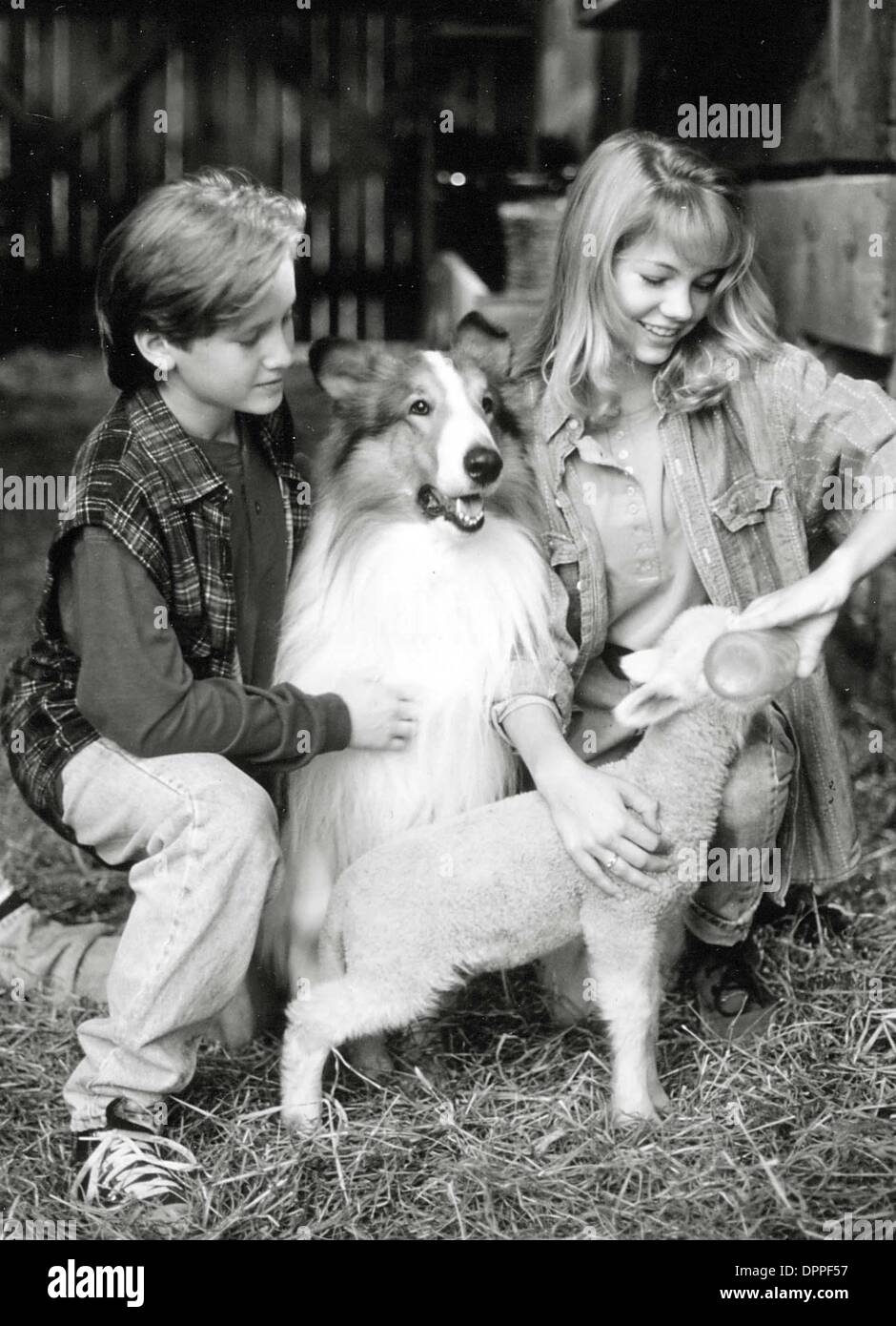 Lassie film movie hi-res stock photography and images - Page 2 - Alamy