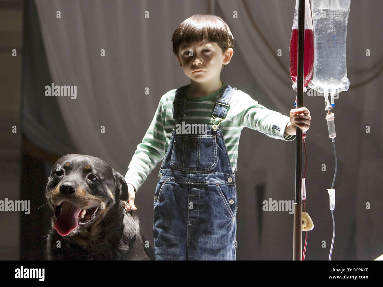 May 25, 2006 - O-34.Damien (Seamus Davey-Fitzpatrick) is usually accompanied by his new black Rottweiler Ã which happens to be a hound from hell.          .K48087ES.TV-FILM STILL. SUPPLIED BY    THE OMEN(Credit Image: © Globe Photos/ZUMAPRESS.com) Stock Photo