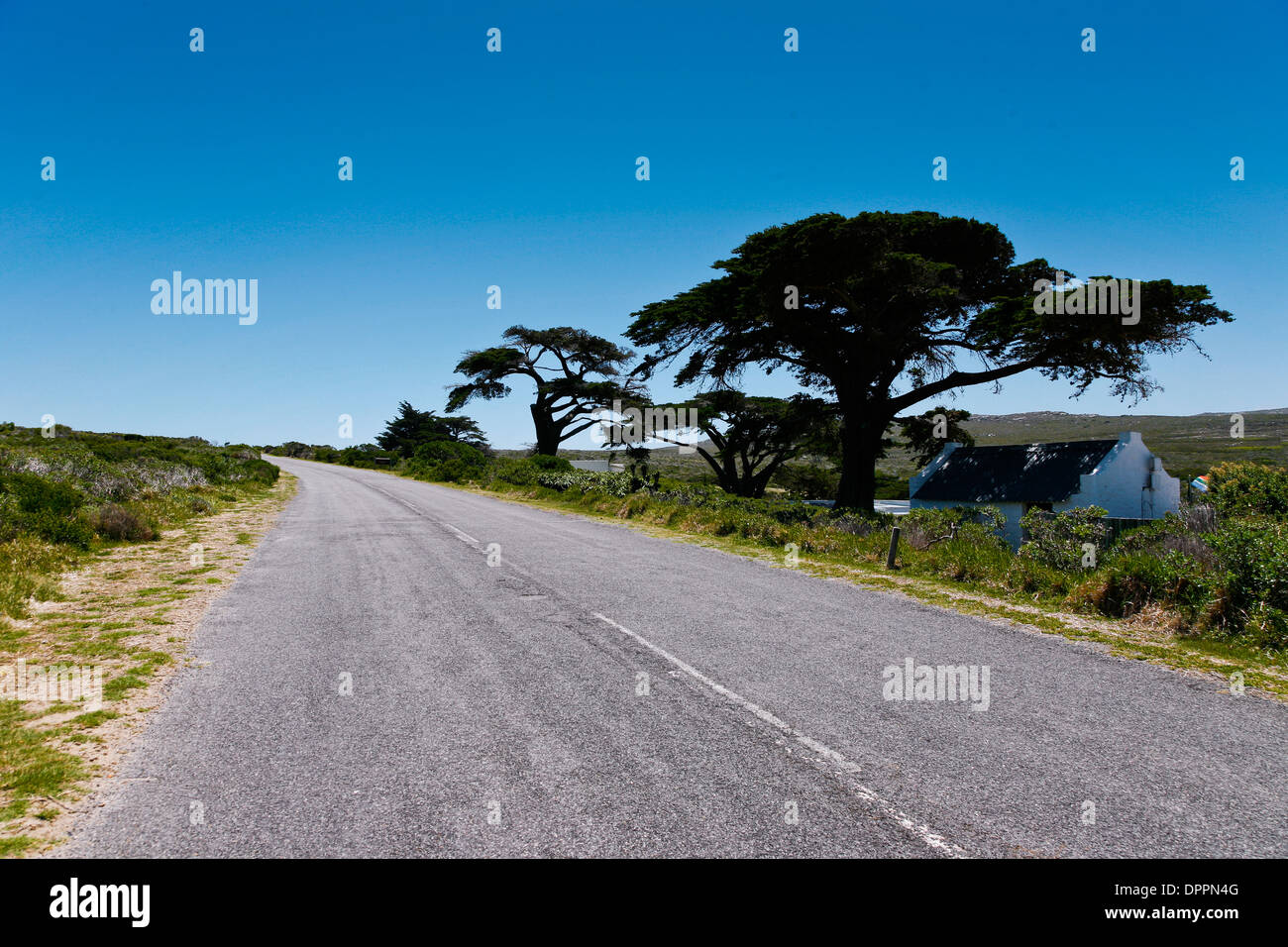 Road at Cape Point with house Stock Photo