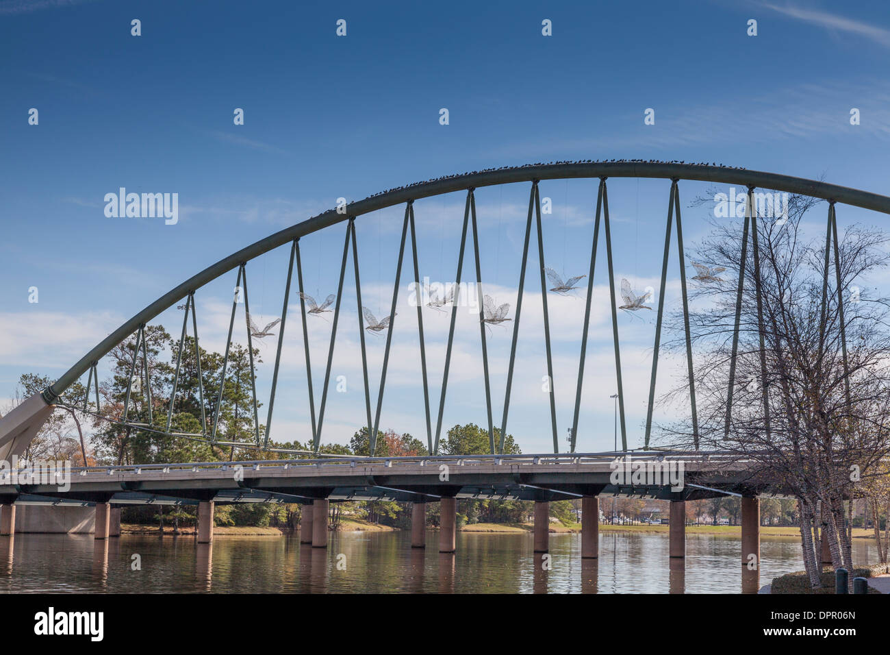Lake Robbins Drive Bridge with Christmas doves, in December, over the