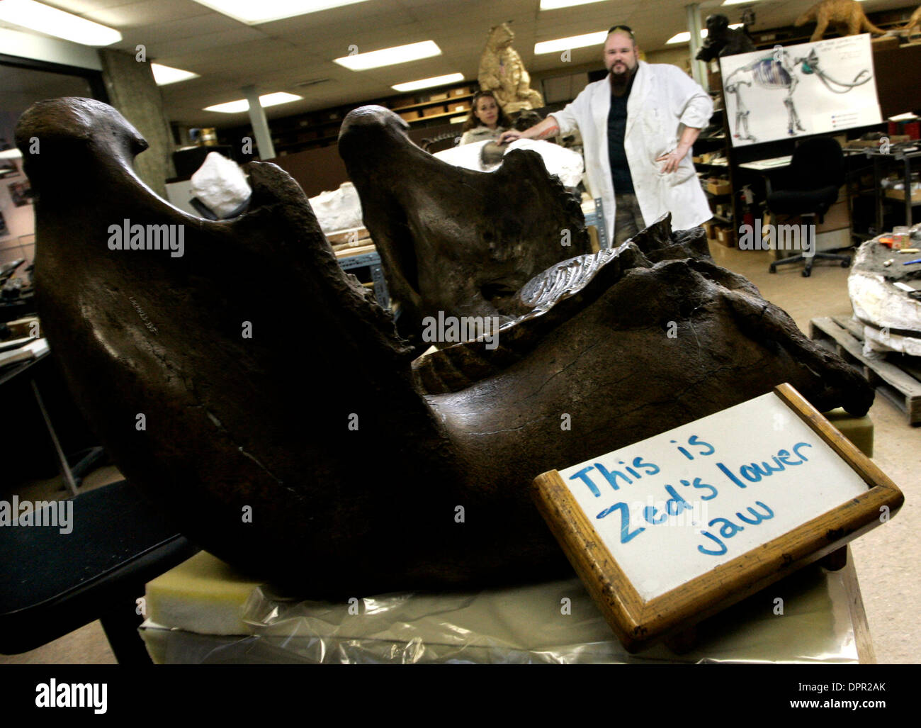 Zed fossils hires stock photography and images Alamy