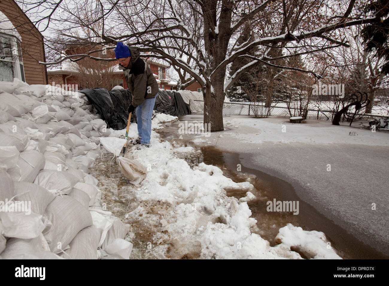 Mar 26, 2009 - Fargo, North Dakota, USA - Homeowner Todd Haggart clears the area in front of the dike next to his home as the Red River rises next to him in the River Drive area of Fargo. Volunteers add another foot of sand bags due to rising flood waters. The cities of Moorhead and Fargo are pushing to finish primary and secondary dikes by the end of Thursday in preparation for Fr Stock Photo