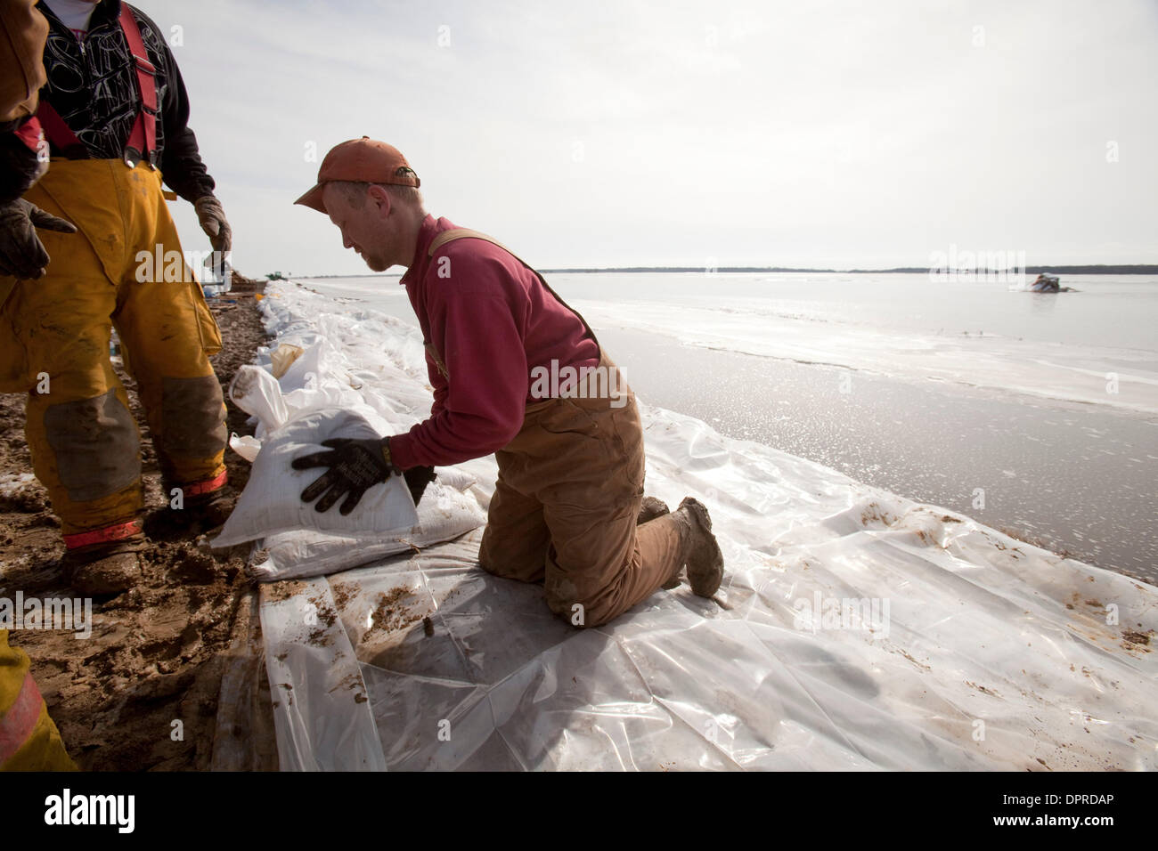 Mar 29, 2009 Hendrum, Minnesota, USA STEVE MORKEN of Climax, Minn. lays sandbags along a