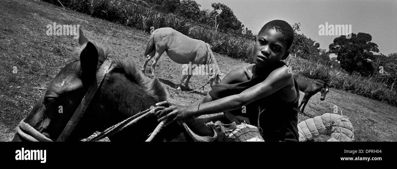 Nov 28, 2008 - Haiti - A young boy rides to the river to fetch water for his family in rural Haiti. The lives of the poor in the tropics are governed by geography and weather, drought and flash flood, oppressive heat and oppressive poverty. The landscape that tourists may think of as idyllic paradise in clean, safe resorts can just as easily turn into a deadly tempest in a mud and  Stock Photo