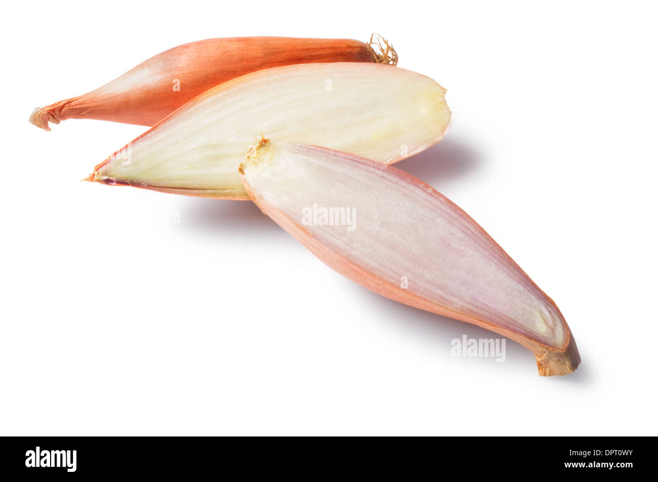 Shallots - John Gollop Stock Photo