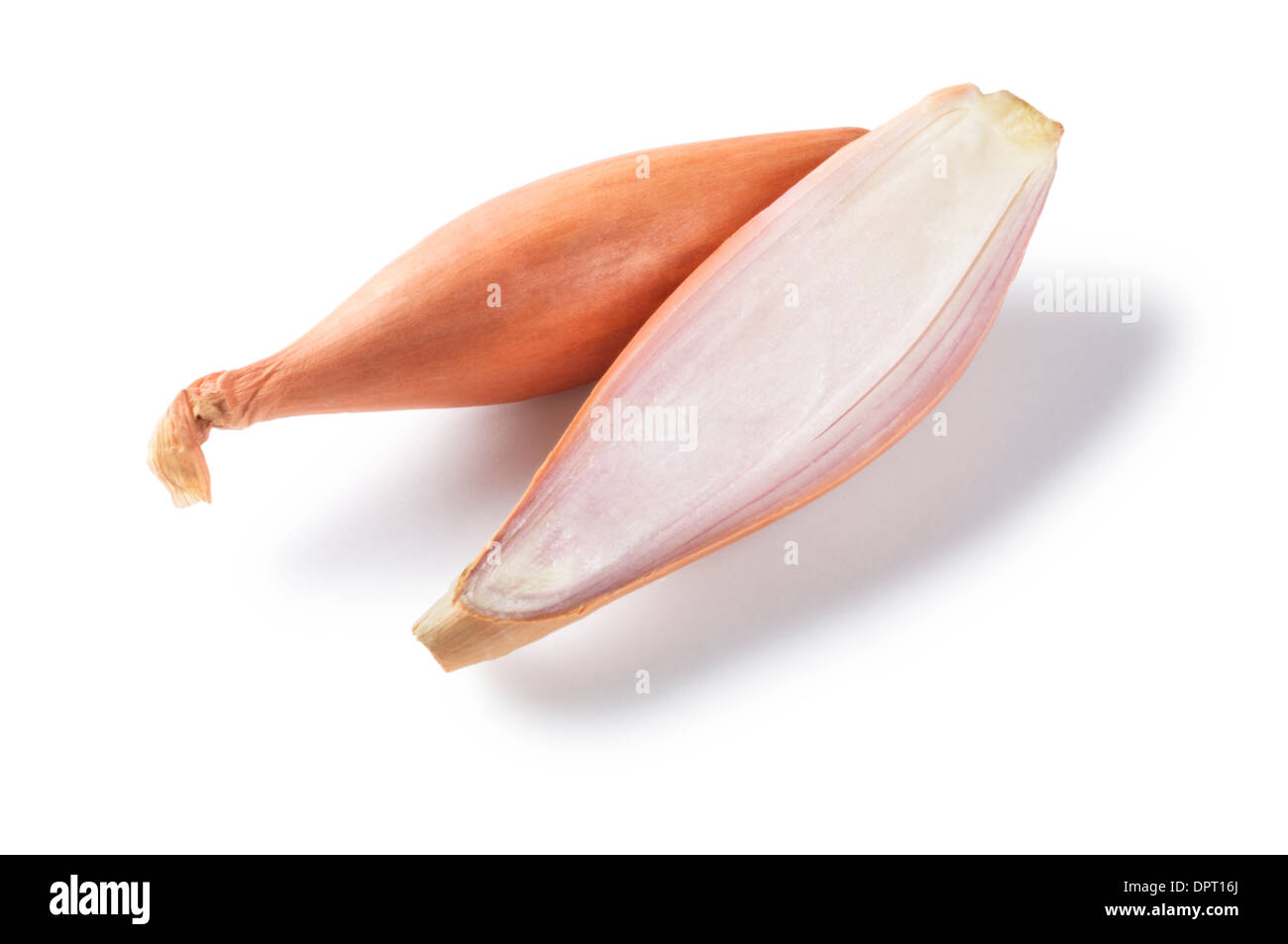 Shallots - John Gollop Stock Photo