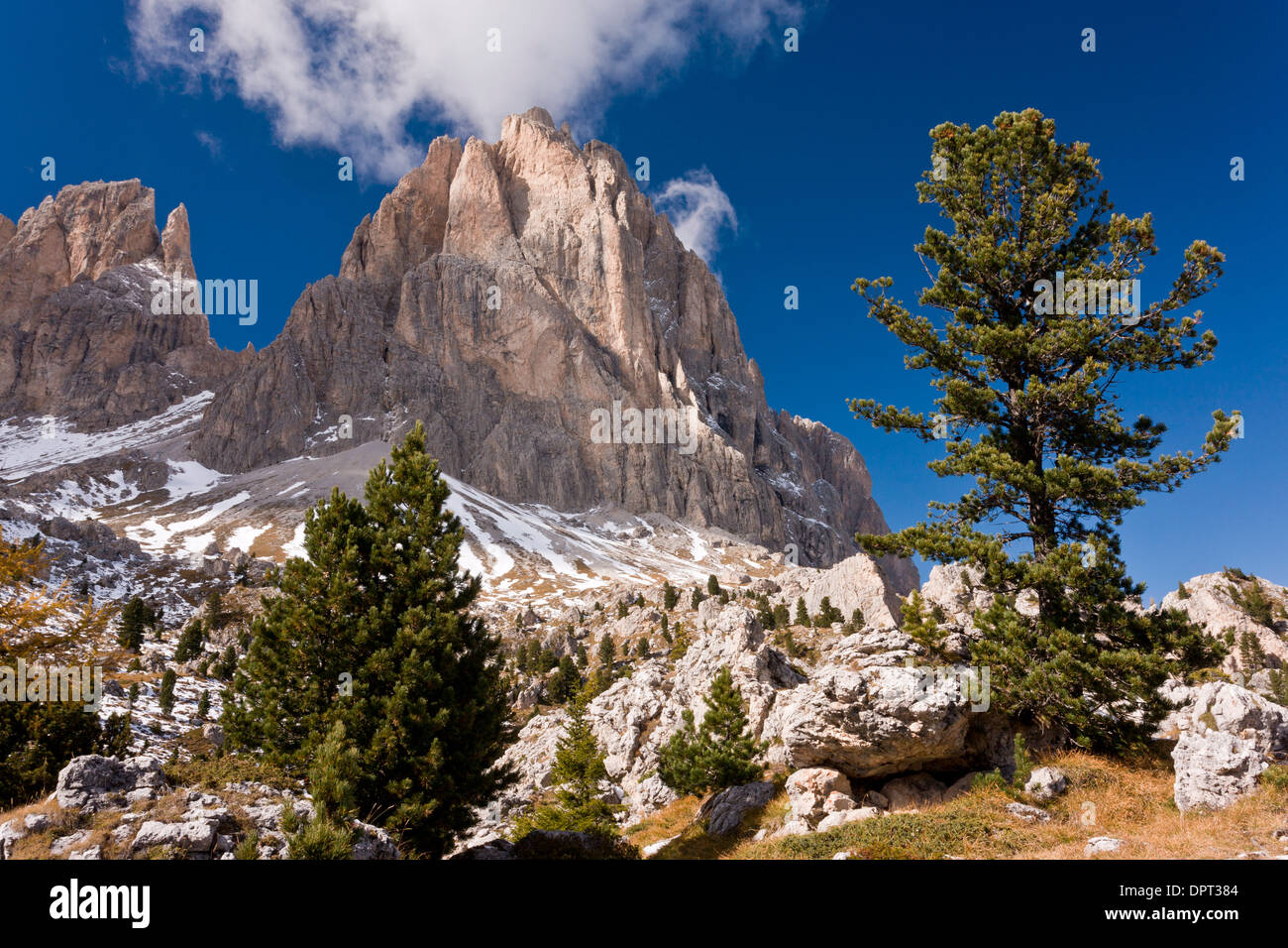 View up towards the Sassolungo group of mountains from the Sella Pass, across the 'stone city' in autumn; Dolomites north Italy Stock Photo