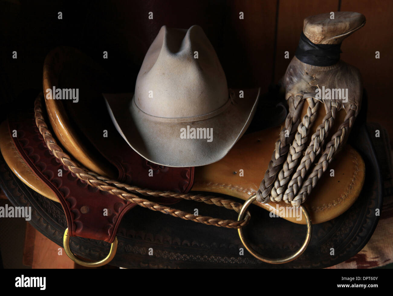 Tree saddle hires stock photography and images Alamy