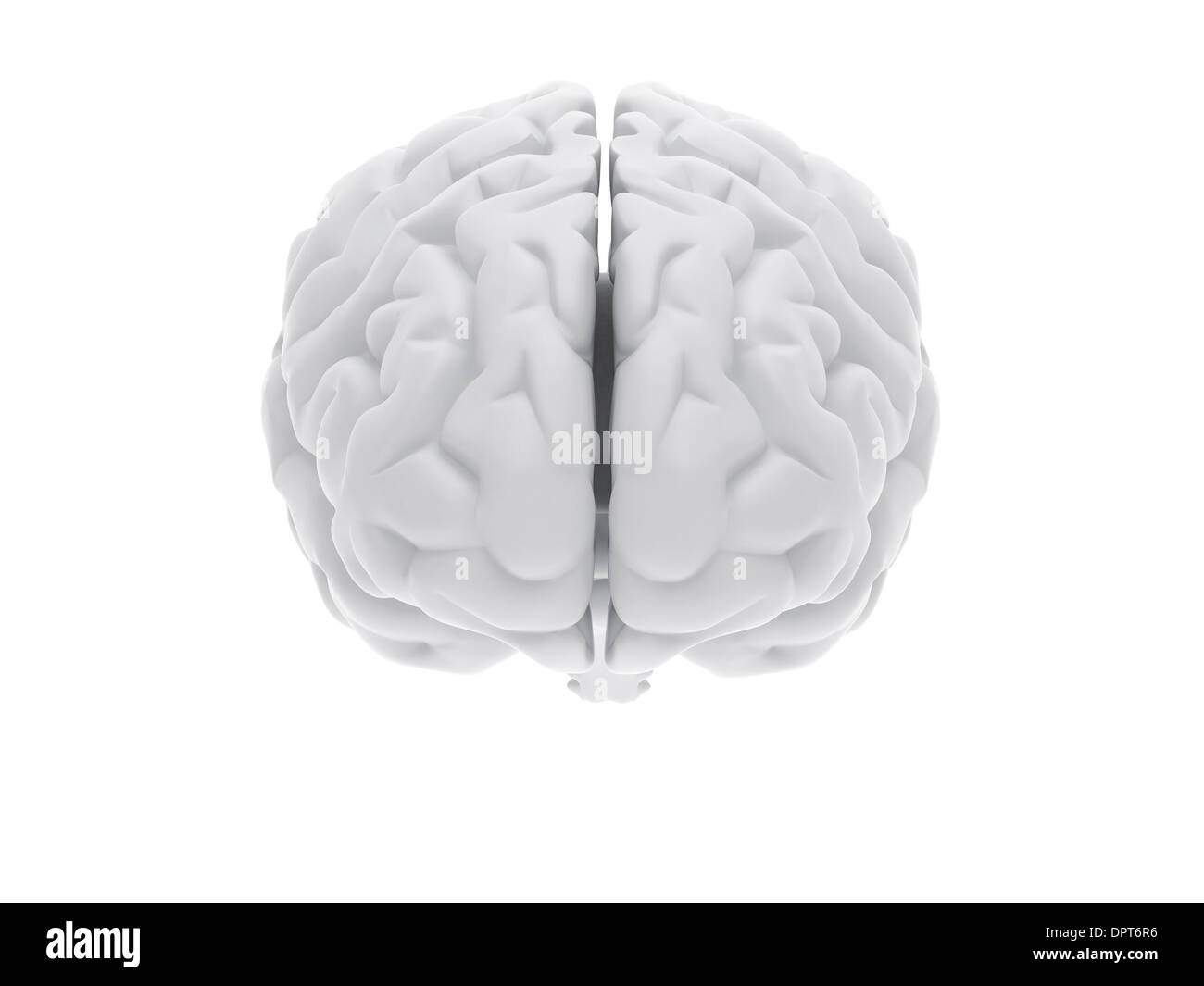 Human brain hi-res stock photography and images - Alamy