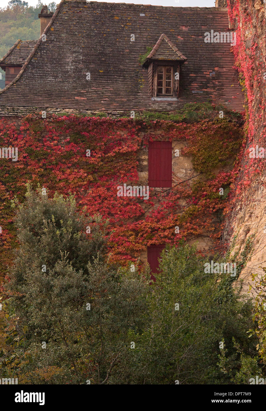 Old wall of chateau covered with Virginia Creeper in autumn, in La Roque-Gageac, Dordogne, France Stock Photo